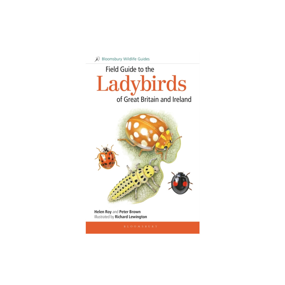 Produktbild för Field Guide to the Ladybirds of Great Britain and Ireland (häftad, eng)