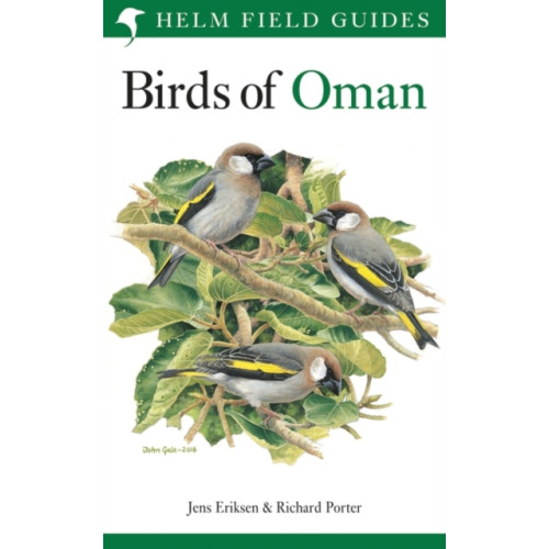 Bloomsbury Publishing PLC Field Guide to the Birds of Oman (häftad, eng)