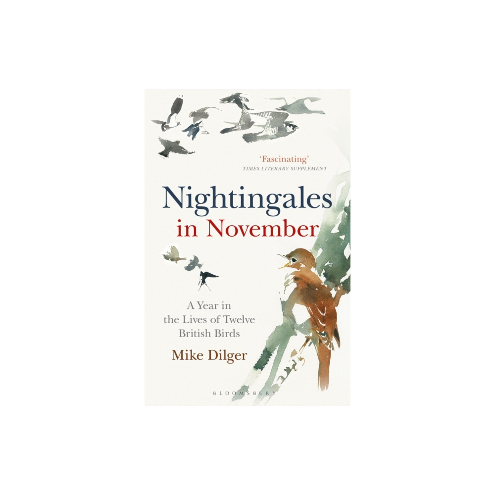 Produktbild för Nightingales in November (häftad, eng)