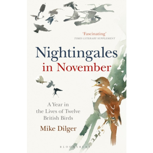 Bloomsbury Publishing PLC Nightingales in November (häftad, eng)
