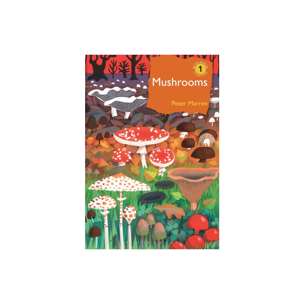 Produktbild för Mushrooms (inbunden, eng)
