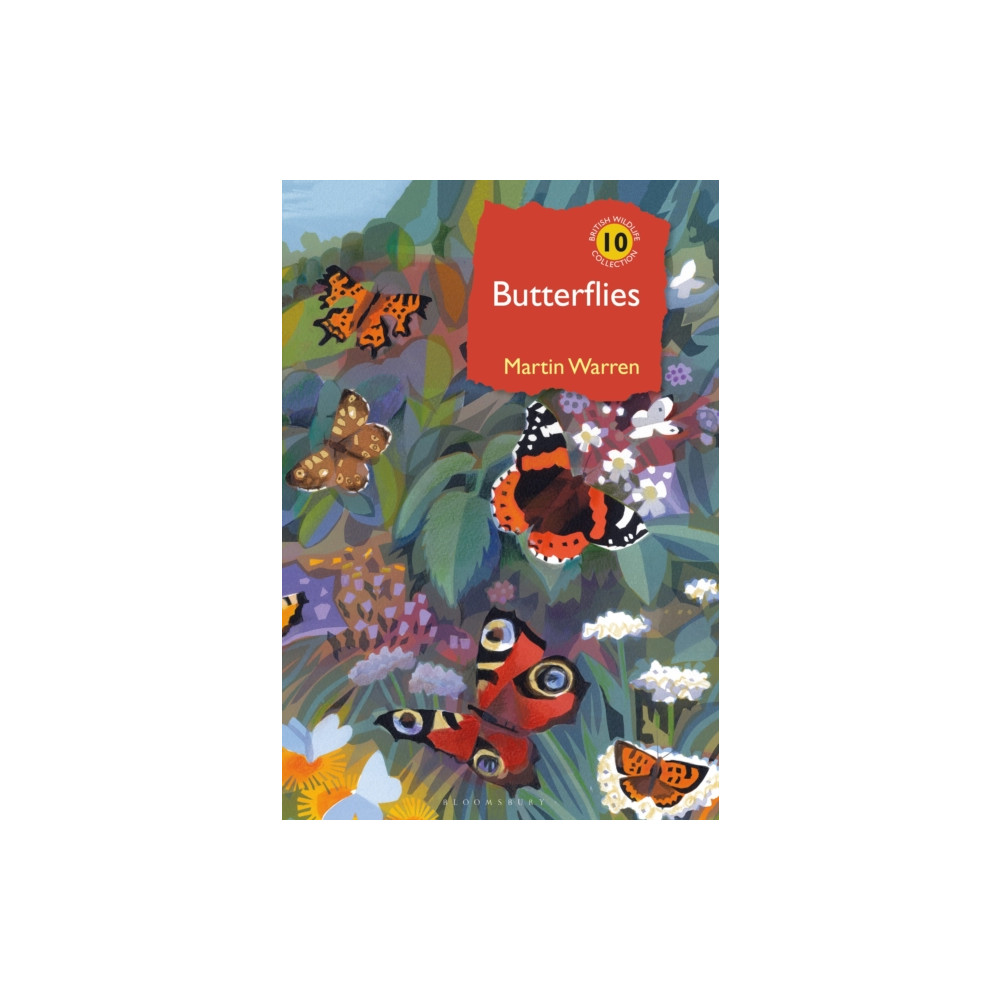Produktbild för Butterflies (inbunden, eng)