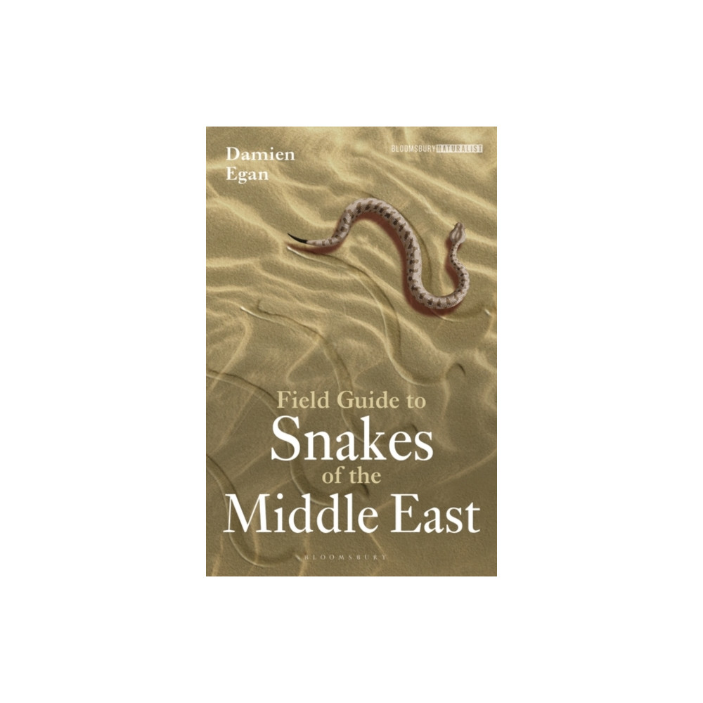 Produktbild för Field Guide to Snakes of the Middle East (häftad, eng)