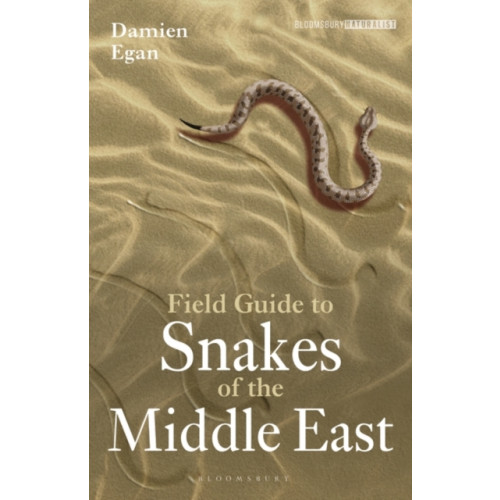 Bloomsbury Publishing PLC Field Guide to Snakes of the Middle East (häftad, eng)