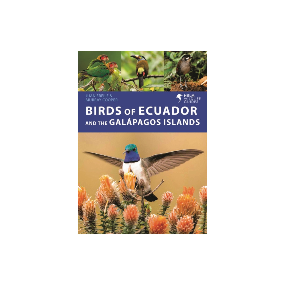 Produktbild för Birds of Ecuador and the Galapagos Islands (häftad, eng)