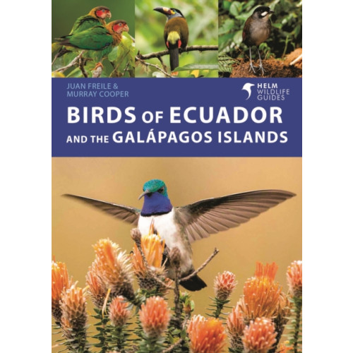 Bloomsbury Publishing PLC Birds of Ecuador and the Galapagos Islands (häftad, eng)