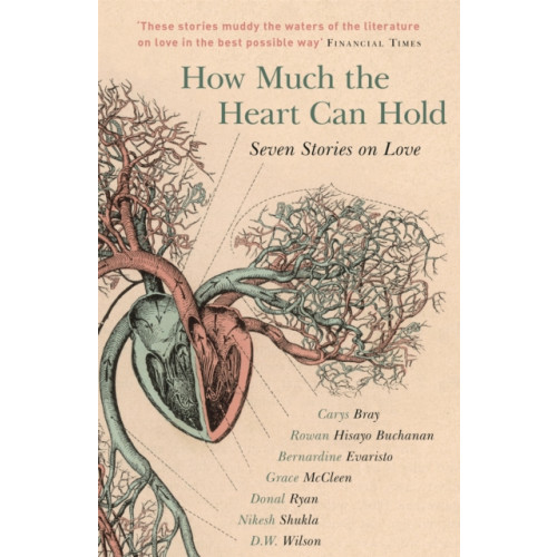 Hodder & Stoughton How Much the Heart Can Hold (häftad, eng)