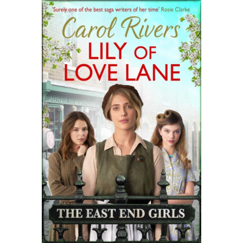 Simon & Schuster Ltd Lily of Love Lane (häftad, eng)