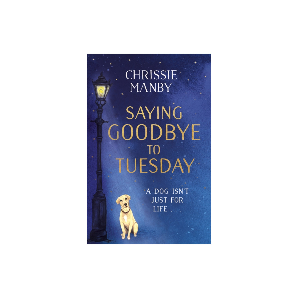 Produktbild för Saying Goodbye to Tuesday (häftad, eng)