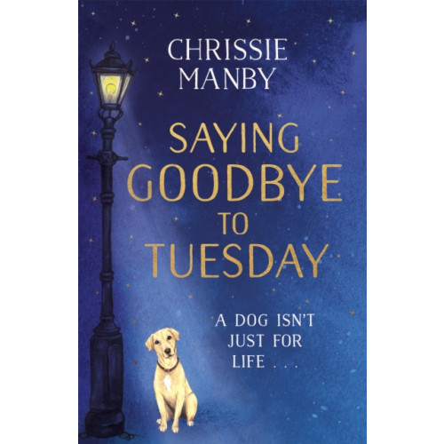 Hodder & Stoughton Saying Goodbye to Tuesday (häftad, eng)