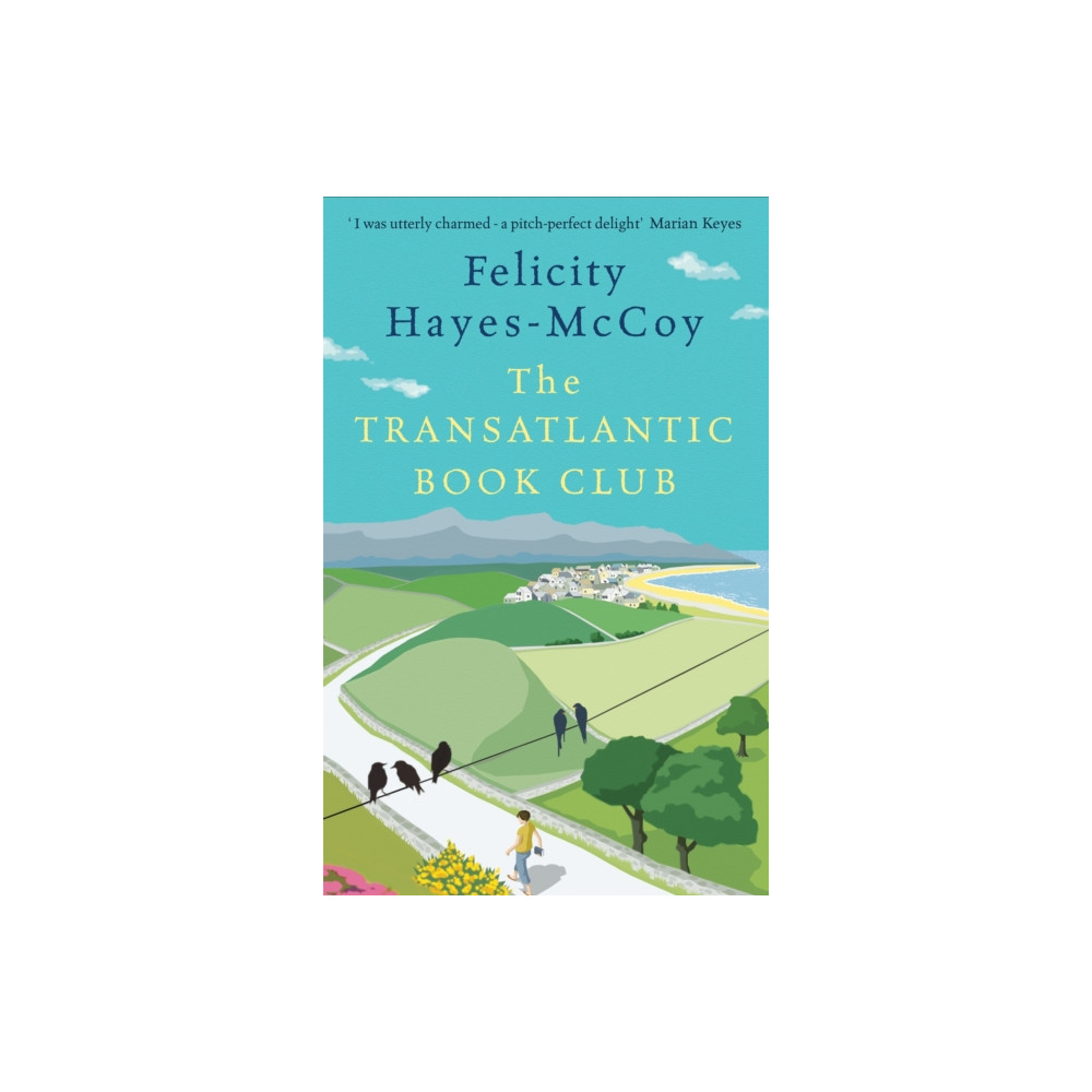 Produktbild för The Transatlantic Book Club (Finfarran 5) (häftad, eng)