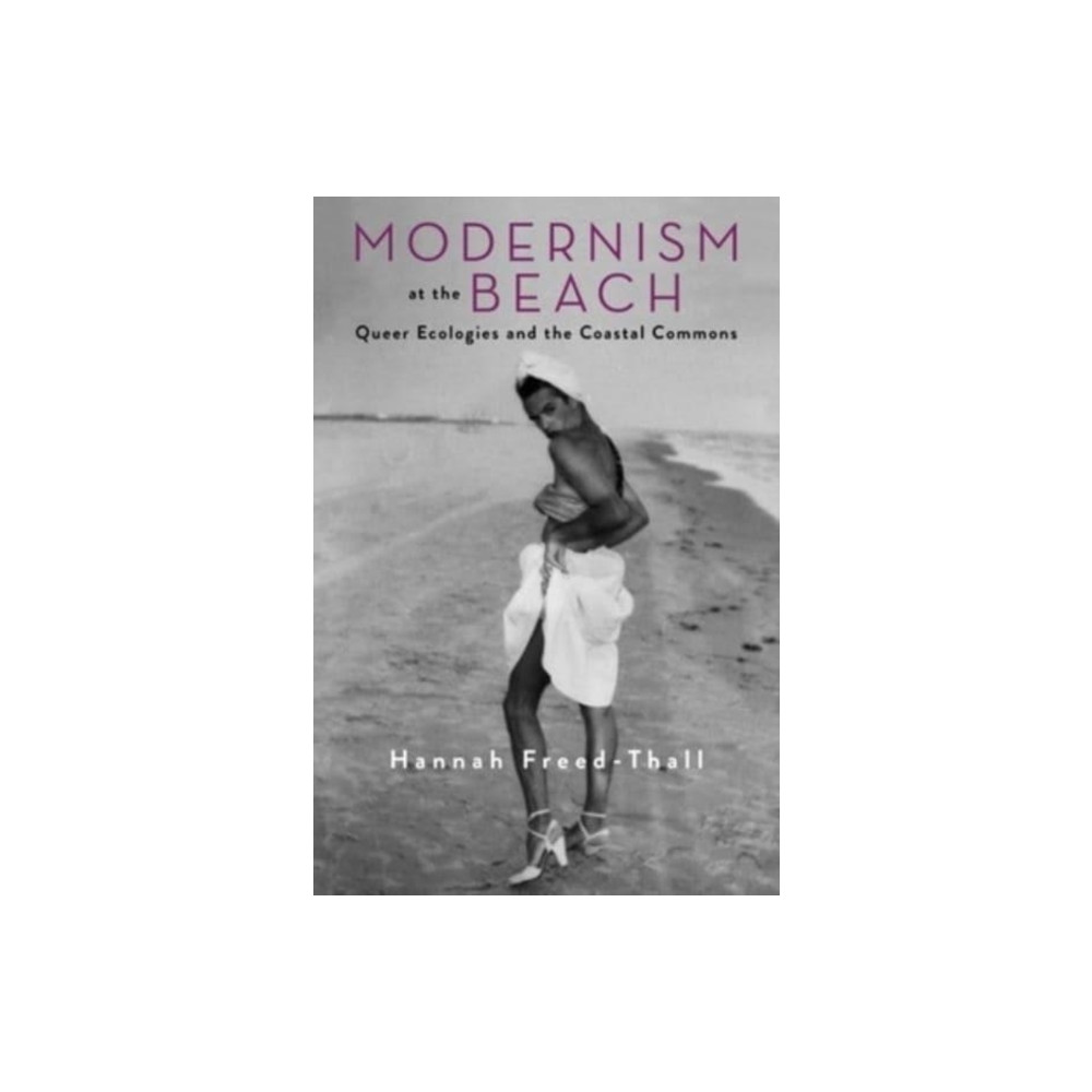 Produktbild för Modernism at the Beach (häftad, eng)