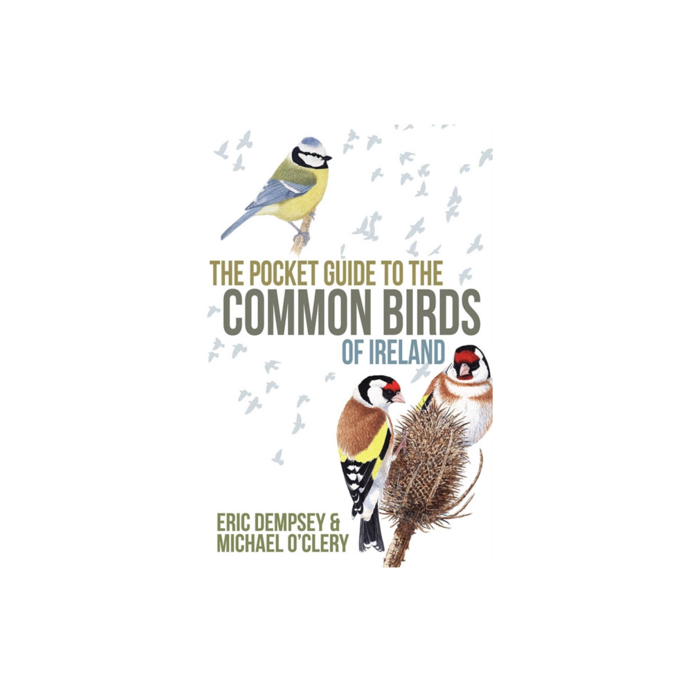 Produktbild för The Pocket Guide to the Common Birds of Ireland (häftad, eng)