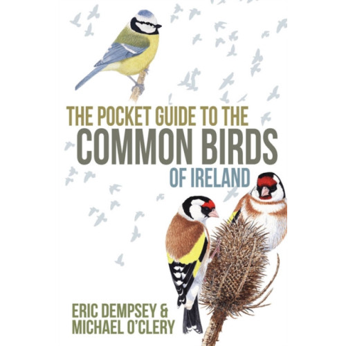 Gill The Pocket Guide to the Common Birds of Ireland (häftad, eng)