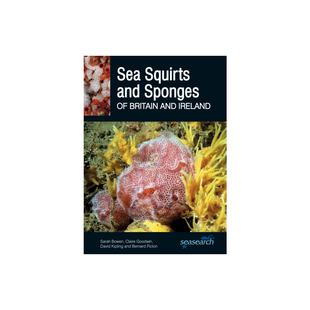 Produktbild för Sea Squirts and Sponges of Britain and Ireland (häftad, eng)