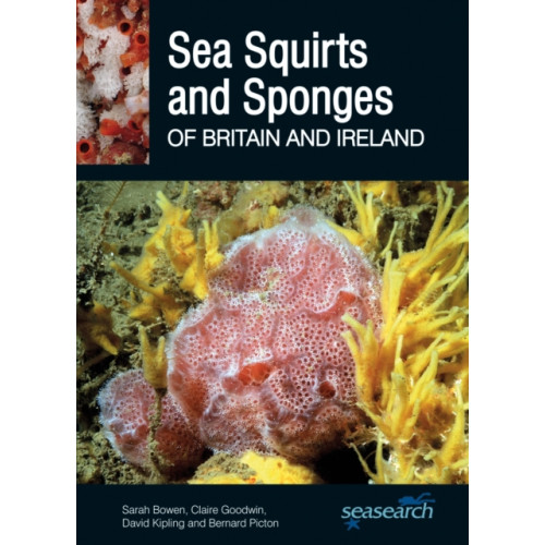 Wild Nature Press Sea Squirts and Sponges of Britain and Ireland (häftad, eng)