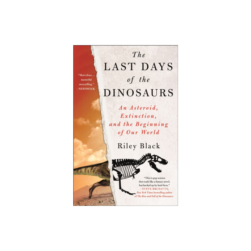 Produktbild för Last Days of the Dinosaurs (häftad, eng)