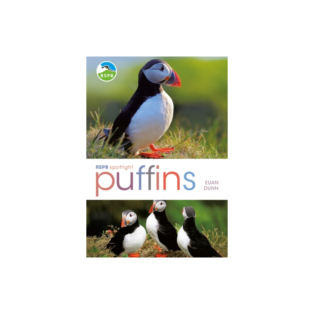 Produktbild för RSPB Spotlight: Puffins (häftad, eng)