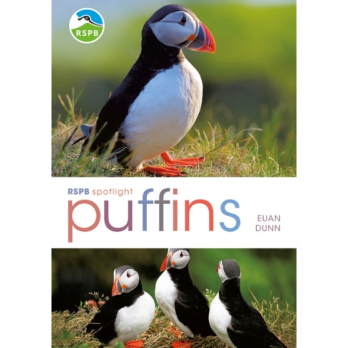 Bloomsbury Publishing PLC RSPB Spotlight: Puffins (häftad, eng)