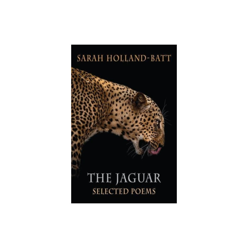 Produktbild för The Jaguar (häftad, eng)