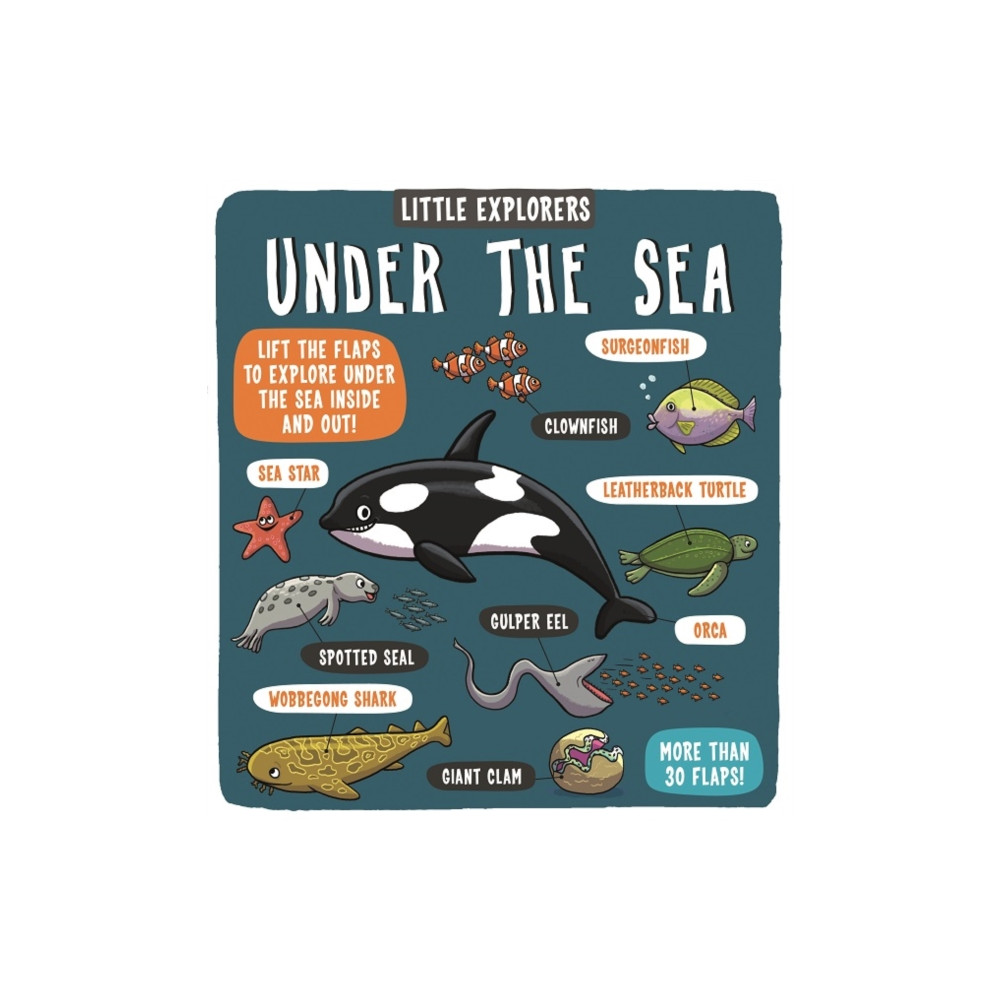 Produktbild för Little Explorers: Under the Sea (bok, board book, eng)