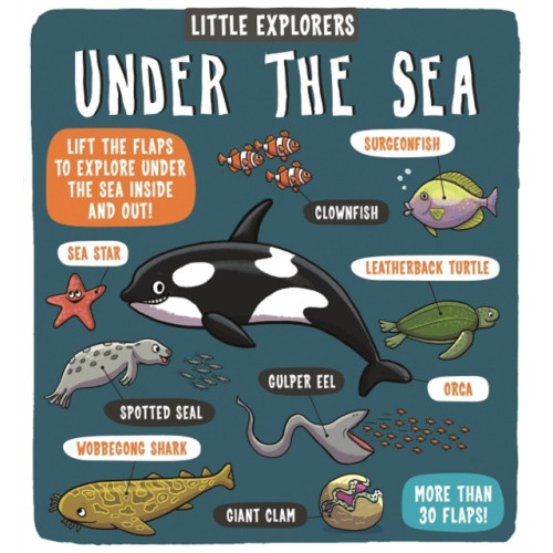 Templar Books Little Explorers: Under the Sea (bok, board book, eng)