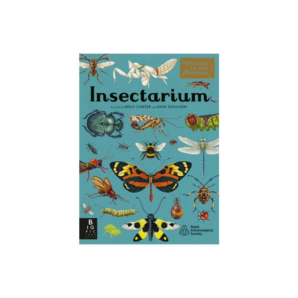 Produktbild för Insectarium (inbunden, eng)