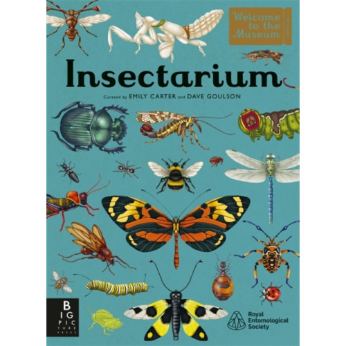 Templar Books Insectarium (inbunden, eng)