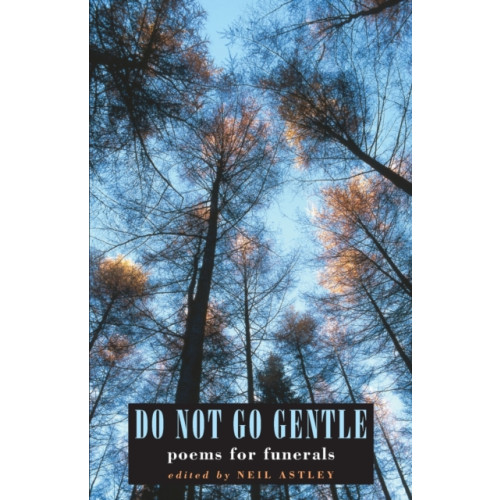 Bloodaxe Books Ltd Do Not Go Gentle (häftad, eng)
