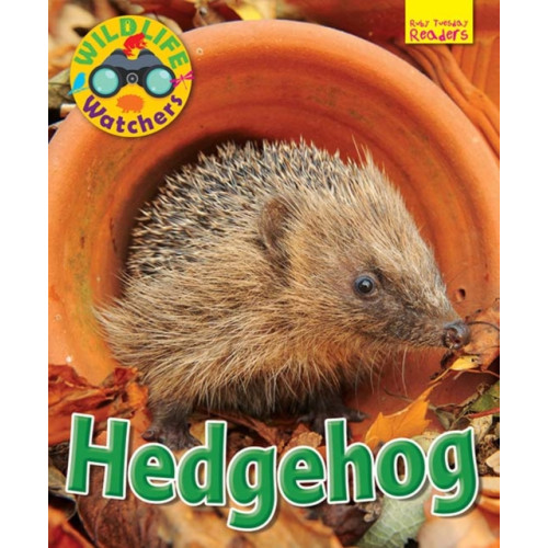 Ruby Tuesday Books Ltd Wildlife Watchers: Hedgehog (häftad, eng)