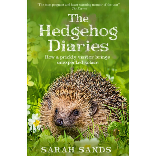 New River Books Ltd The Hedgehog Diaries (häftad, eng)