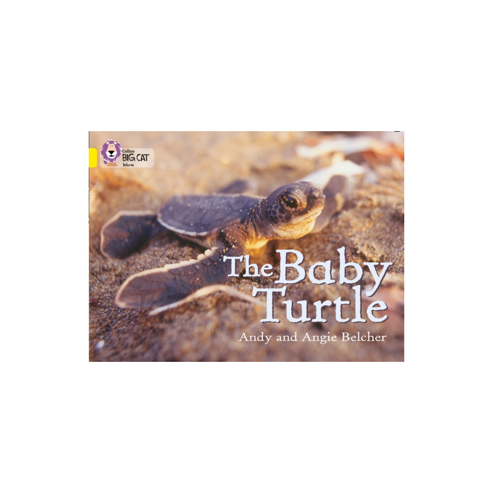 Produktbild för The Baby Turtle (häftad, eng)