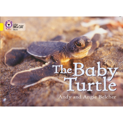 HarperCollins Publishers The Baby Turtle (häftad, eng)
