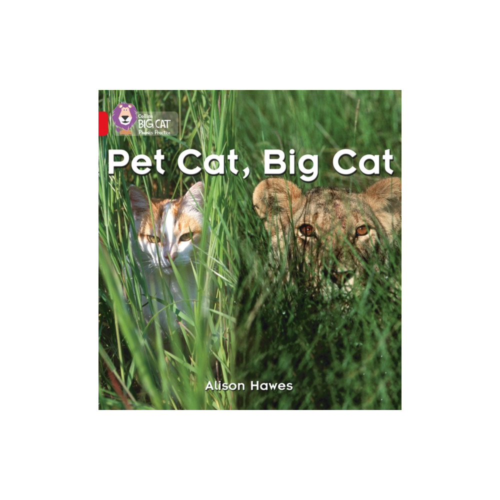 Produktbild för Pet Cat, Big Cat (häftad, eng)