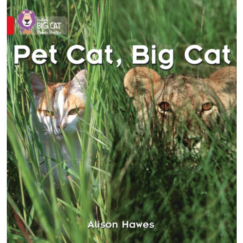 HarperCollins Publishers Pet Cat, Big Cat (häftad, eng)