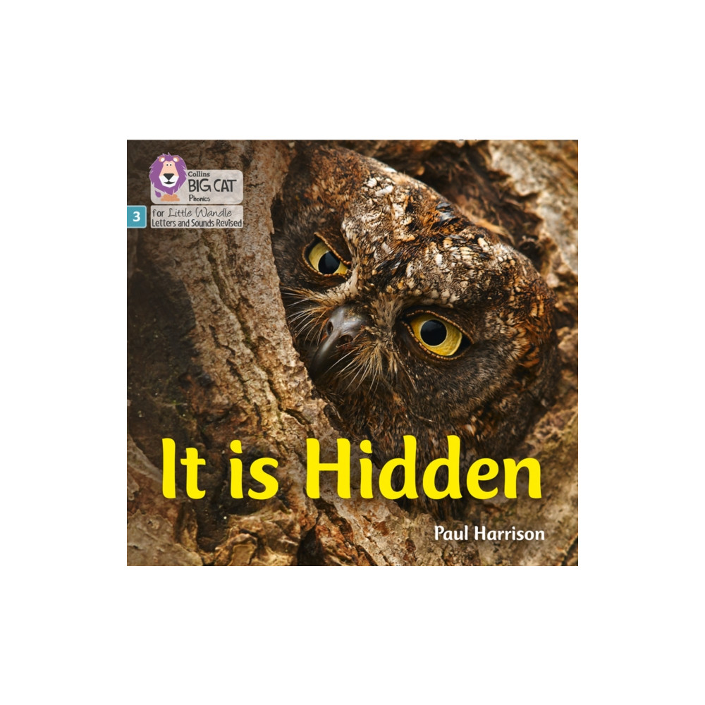 Produktbild för It is Hidden (häftad, eng)