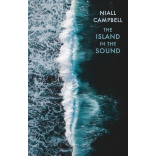 Bloodaxe Books Ltd The Island in the Sound (häftad, eng)