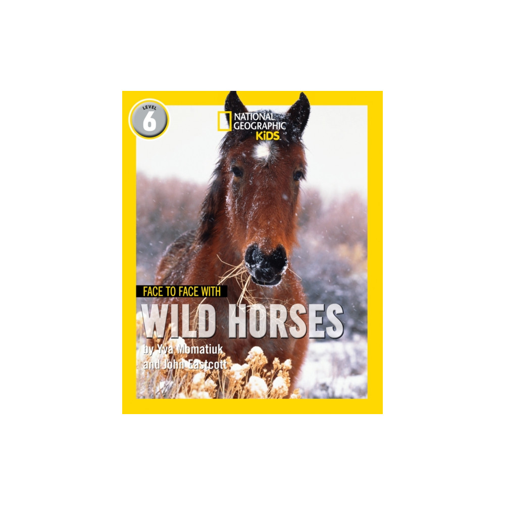 Produktbild för Face to Face with Wild Horses (häftad, eng)
