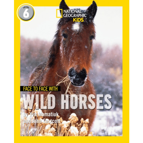 HarperCollins Publishers Face to Face with Wild Horses (häftad, eng)
