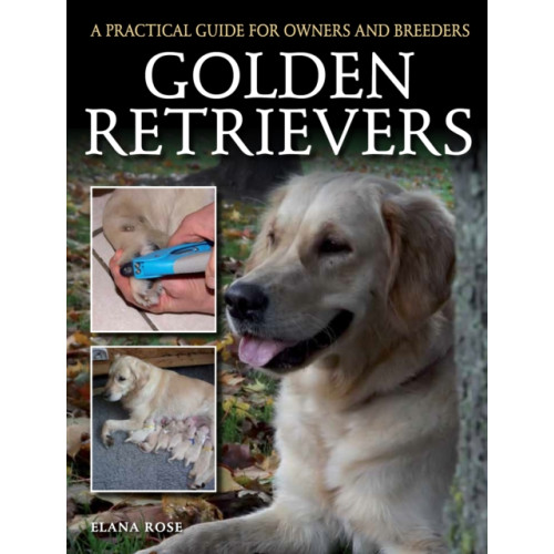 The Crowood Press Ltd Golden Retrievers (häftad, eng)