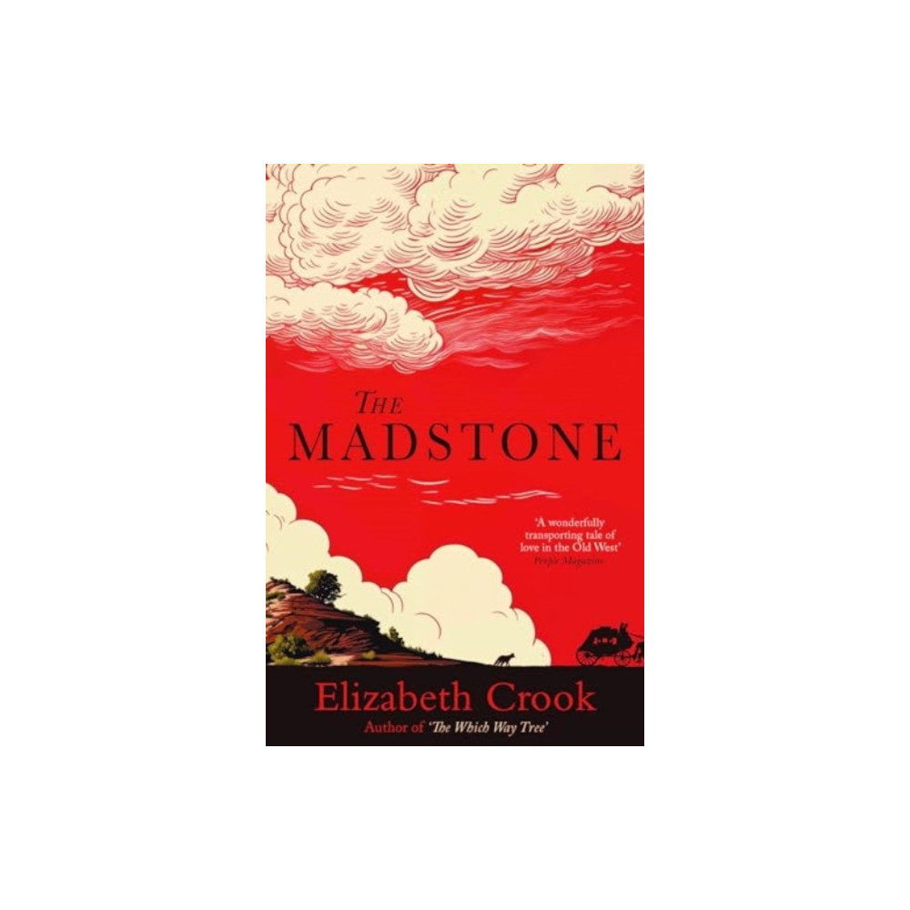 Produktbild för The Madstone (häftad, eng)