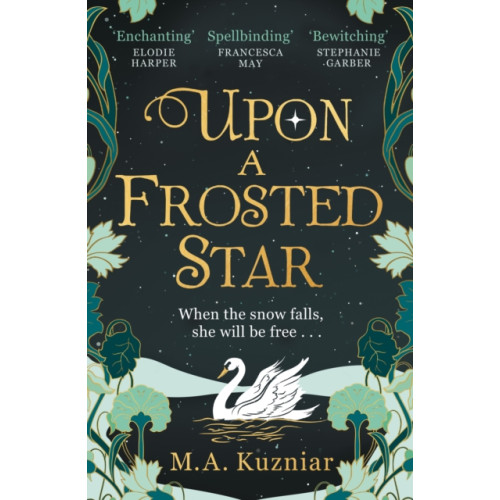 HarperCollins Publishers Upon a Frosted Star (häftad, eng)
