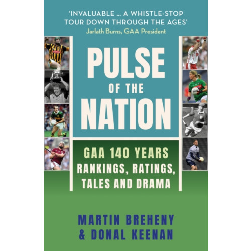Hachette Books Ireland Pulse of the Nation (inbunden, eng)