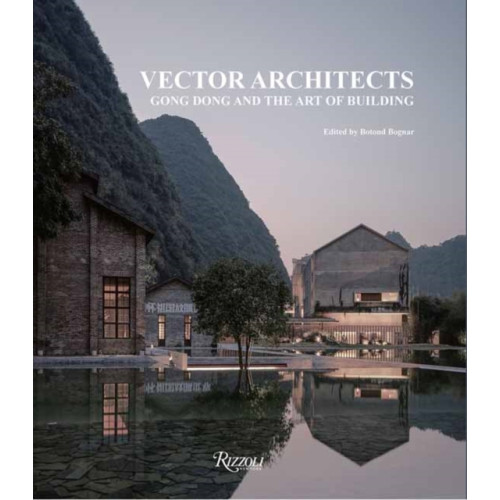 Rizzoli International Publications Vector Architects (inbunden, eng)