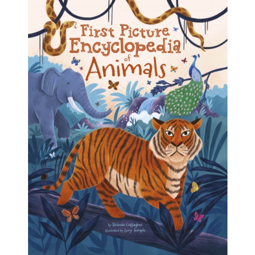 Arcturus publishing ltd First Picture Encyclopedia of Animals (inbunden, eng)