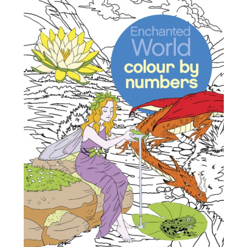 Arcturus publishing ltd Enchanted World Colour by Numbers (häftad, eng)