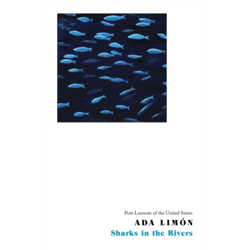 Little, Brown Book Group Sharks in the Rivers (häftad, eng)
