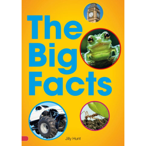 Scholastic Big Facts Book (Set 07) (häftad, eng)