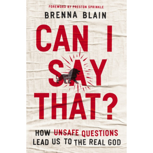 Thomas nelson publishers Can I Say That? (häftad, eng)