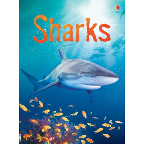 Usborne Publishing Ltd Sharks (inbunden, eng)